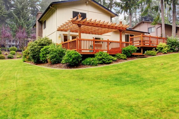 Deck and Tree Services