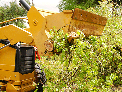 Storm Damage Cleanup