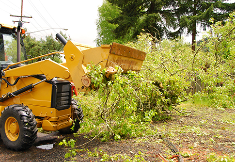 Storm Damage Cleanup